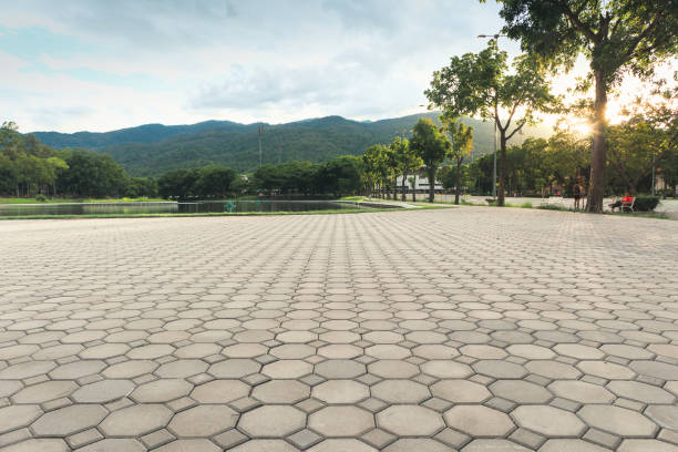 Best Residential Paver Driveway  in Archdale, NC